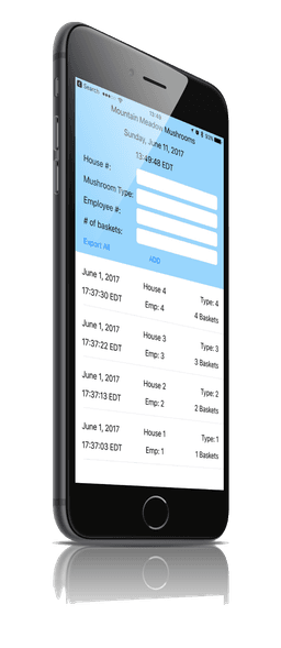 Preview of input form